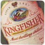 Kingfisher IN 013